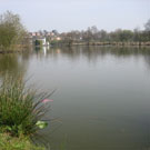 Wyche Angler's Whitwater lakes