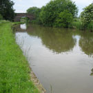 Wyche Angler's stretch of the Shropshire union canal