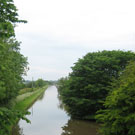 Wyche Angler's stretch of the Shropshire union canal