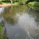 Wyche Angler's stretch of the River Weaver in Nantwich