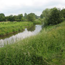 Wyche Angler's stretch of the River Weaver in Nantwich