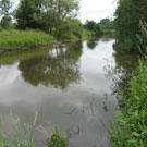 Wyche Angler's stretch of the River Weaver in Nantwich