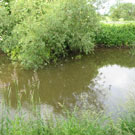 Wyche Angler's stretch of the River Weaver in Nantwich