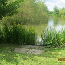 Wyche Angler's Dorrington Pool