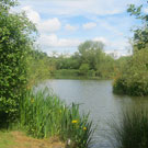 Wyche Angler's Dorrington Pool