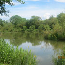 Wyche Angler's Dorrington Pool