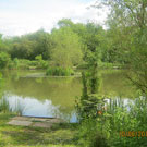 Wyche Angler's Dorrington Pool