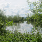 Wyche Angler's Dorrington Pool