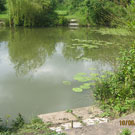 Wyche Angler's Dorrington Pool